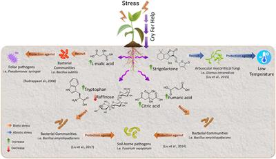 Natural Holobiome Engineering by Using Native Extreme Microbiome to Counteract the Climate Change Effects